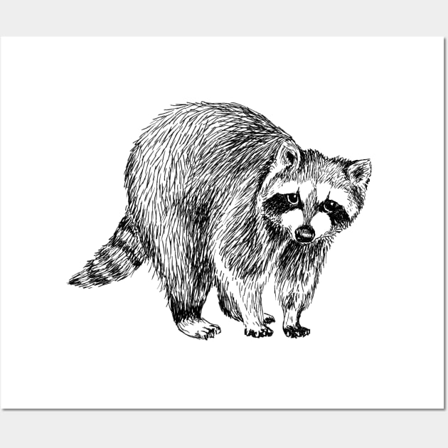 Raccoon Illustration Wall Art by rachelsfinelines